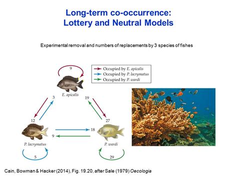 lottery model ecology|Competitive Coexistence of Coral.